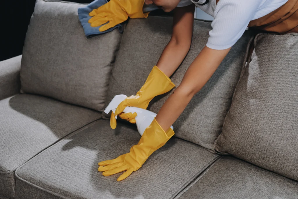 Professional Leather Sofa & Chair Cleaning using deep cleaning equipment